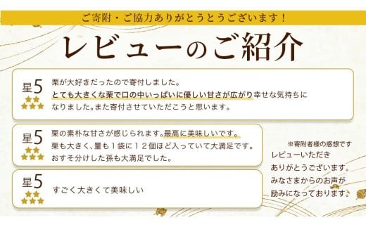 【 吉原農場 の 完熟栗 】熟成 栗 満喫 セット ( 栗の深雫 プレーン 6個入り ) 令和7年産 栗の深雫 完熟 生むき栗 焼き栗 栗きんとん プレーン くり クリ 栗ごはん おかし お菓子 果物 フルーツ 数量限定 旬 秋 冬 正月 おせち  [CX026ci]