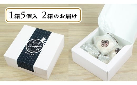 【 菓子庵たちかわ 】 キャラメル ショコラ 餅 大福 10個 ( 5個入 × 2箱 ) 手作り もちもち スイーツ チョコ チョコレート チョコクリーム もち 和菓子 菓子 お菓子 [AY018ci]