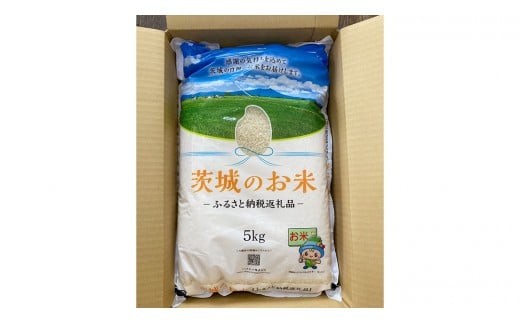 【 定期便 3ヶ月 】 茨城県産 にじのきらめき 10kg ( 5kg × 2袋 ) 米 お米 コメ 白米 にじのきらめき 茨城県 精米 新生活 応援 [DK026ci]