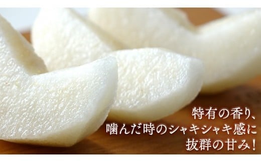 今一番人気 『 あきづき 』 5kg ( 自家用 ) 2026年産 先行予約 フルーツ 果物 国産 日本産 梨 ナシ なし 和梨 [DJ003ci]