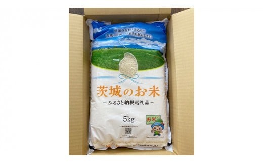 【 定期便 3ヶ月 】 茨城県産 コシヒカリ 10kg ( 5kg × 2袋 ) 米 お米 コメ 白米 こしひかり 茨城県 精米 新生活 応援 [DK010ci]