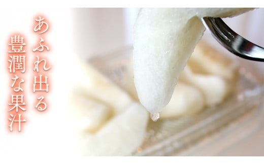 極上の雫 『 豊水 』 5kg ( 自家用 ) 2026年産 先行予約 フルーツ 果物 国産 日本産 梨 ナシ なし 和梨 [DJ002ci]