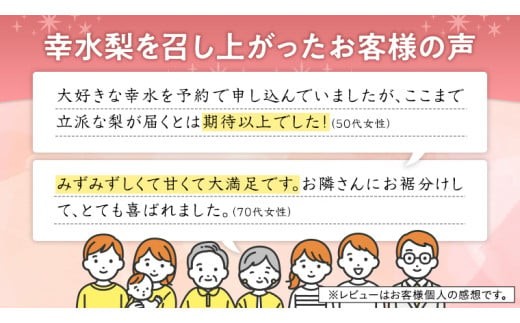 【 JA 北つくば 】 筑西ブランド 認証品 幸水 10kg 2026年産 先行予約 梨 果物 フルーツ なし ナシ 幸水梨 くだもの デザート 茨城 [AE009ci]