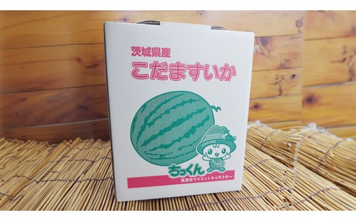 【 先行予約 】 希少品種 「 紅トップ 」 茨城県産 小玉 すいか 1玉入り 2Lサイズ スイカ [AG004ci]