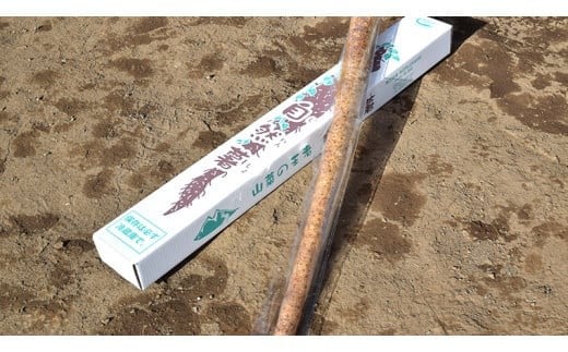 ASIAGAP認証農場 の 自然薯 2kg 茨城県 筑西市産 じねんじょ 山芋 芋 イモ いも とろろ 山菜 ASIAGAP [DD003ci]