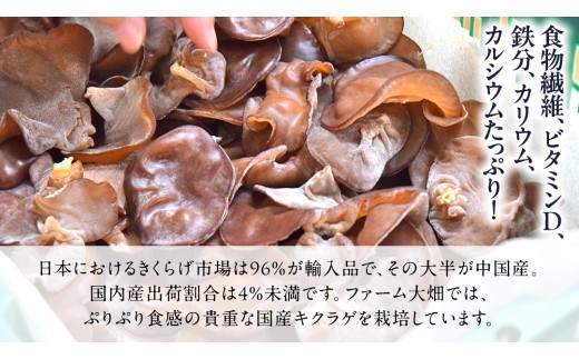 【 ファーム大畑 】お楽しみセット 米 お米 しいたけパウダー しいたけ 椎茸 まろ福しいたけ きくらげ [AK001ci]