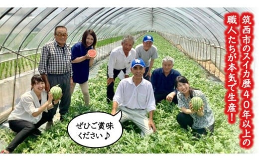 【 訳あり 】 こだますいか 「 愛娘 」 2玉 2026年産 先行予約 筑西ブランド こだまスイカ 小玉スイカ すいか スイカ フルーツ 果物 [AF084ci]