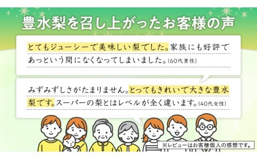 梨 2種 ( 幸水 ＆ 豊水 各10kg 合計20kg ) 定期便 セット 2026年産 先行予約 なし ナシ 赤梨 食べ比べ 食べくらべ [AE023ci]