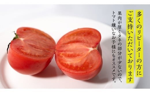  超大玉 スーパーフルーツトマト 大箱 約2.8kg × 1箱 【14～18玉/1箱】 2026年産 野菜ソムリエサミット 金賞 糖度9度 以上 野菜 フルーツトマト フルーツ トマト とまと [AF007ci]