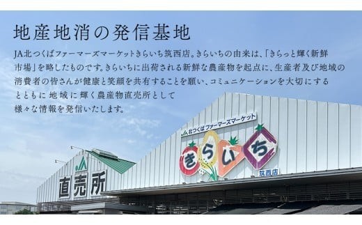 【 JA北つくば 】 ローズポーク 肩ロース スライス 1.6kg ( 800g × 2箱 ) ブランド豚 銘柄豚 豚肉 豚 肉 お肉 にく ロース 焼肉 バーベキュー ギフト 贈答 贈り物 茨城県共通返礼品 [AE034ci] 1.6kg：通常便