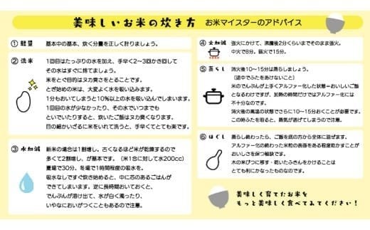 スピード発送!! （最短2日～7日程度で発送） 茨城県 筑西市産 にじのきらめき 10kg ( 障がい者アート パッケージ ) ( 5kg × 2袋 ) 令和7年産 新米 精米 米 お米 コメ 白米 茨城県 筑西市 三ツ星 マイスター スピード配送 [CH023ci] にじのきらめき 単品 10kg