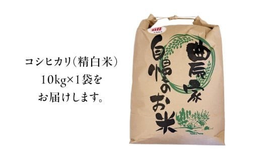 茨城県 筑西市産 コシヒカリ 精白米 10kg 令和7年産 単一原料米 精米 米 お米 コメ 白米 こしひかり 茨城県 [AF103ci]