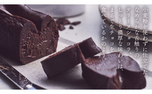 【 禁断の幸せ 】 フォンダンショコラ & テリーヌショコラ セット チョコ チョコレート 生チョコ ショコラ ケーキ デザート スイーツ テリーヌ 贈り物 贈答 ギフト バレンタイン ホワイトデー [CS008ci]