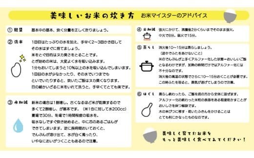 【 定期便 3ヶ月 】 茨城県 筑西市産 にじのきらめき 10kg ( 障がい者アート パッケージ ) ( 5kg × 2袋 ) 令和7年産 新米 精米 米 お米 コメ 白米 茨城県 筑西市 三ツ星 マイスター [CH024ci] にじのきらめき 定期便3ヶ月 10kg
