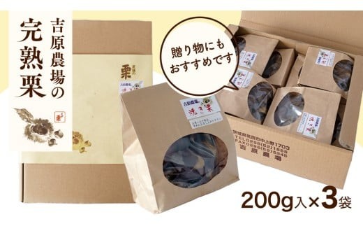 【 吉原農場 の 完熟栗 】 熟成 焼き栗 3袋 ( 200g × 3袋 ) R7年産 完熟 栗 くり クリ 栗ごはん 贈答 ギフト 果物 フルーツ 数量限定 旬 秋 冬 正月 おせち [CX020ci]