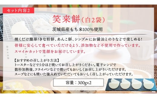 【 筑西市 ふるさと納税限定 コラボ 】 《 季節のお花アレンジメントS 》《 笑来餅 2個 セット（白2個） 》 アレンジメント 生花 ギフト プレゼント 誕生日 記念日 敬老 餅 もち もち米 [ZZ047ci]