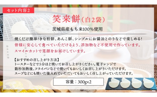 【 筑西市 ふるさと納税限定 コラボ 】 《 季節のお花の仏花アレンジメントS 》《 笑来餅 2個 セット（白2個） 》 アレンジメント 生花 ギフト プレゼント 誕生日 記念日 敬老 餅 もち もち米 [ZZ049ci]