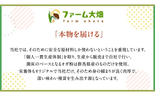 【 ファーム大畑 】まろ福印の 天日干し 椎茸パウダー 40g × 3袋 椎茸 しいたけ GAP規範 干し椎茸 ヴィーガン ビタミンD 葉酸 グアニル酸 遊離 グルタミン酸 佃煮 カレー キムチ 納豆 ヨーグルト 味噌汁 出汁 [AK005ci]