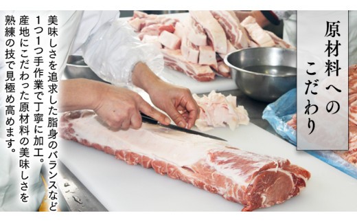 ～ 匠のハム工房 ～ 燻製職人 ！ 風實 バーベキューセット 豚肉 ギフト 贈答用 詰め合わせ 冷凍 BBQ バーベキュー パーティー ベーコン ローズポーク スペアリブ ソーセージ ポークソーセージ 豚 かざみ 小分け [AJ003ci] 通常（熨斗不要）