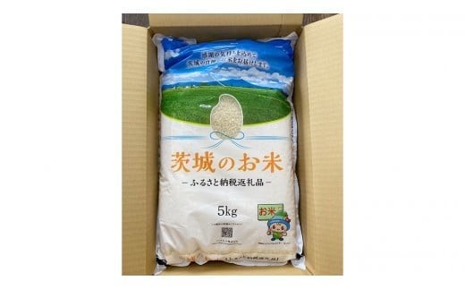 スピード発送!! 【 令和7年産 】 茨城県産 にじのきらめき 15kg ( 5kg × 3袋 ) 米 お米 コメ 白米 にじのきらめき 茨城県 精米 新生活 応援 新米 スピード配送 [DK022ci]
