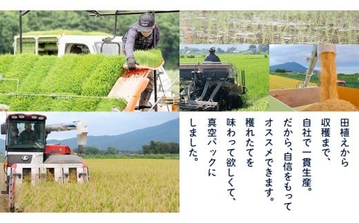 食べくらべ　精米5種　真空 450g ( 3合 ) × 2袋 × 5種類 令和7年産 米 お米 コメ 茨城県 新生活 応援 コシヒカリ ミルキープリンセス にじのきらめき つきあかり まんげつもち 餅米 食べ比べ　 [EX002ci]