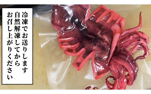 筑西市名物 煮イカ（二杯） いか 筑西 茨城 ソウルフード ご当地グルメ 名物 海鮮 魚介 冷凍 ［BW089ci］