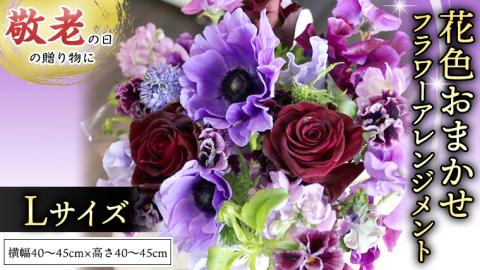 【 敬老の日 】 フラワー アレンジメント L 花色おまかせ ギフト プレゼント 花 お祝い 贈答 記念日 インテリア [CT087ci]