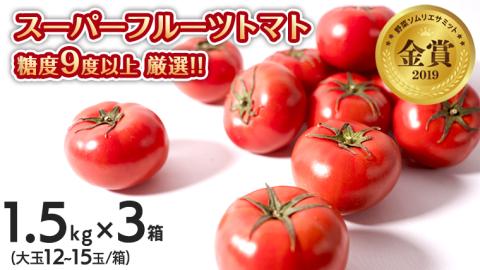 【先行予約】スーパーフルーツトマト中箱 1.5kg×3箱【大玉 12～15玉/1箱】糖度9度以上[AF066ci]