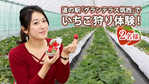道の駅「グランテラス筑西」でいちご狩り体験！（2名様）【体験受付期間 ～2022年5月中旬】[BW007ci]