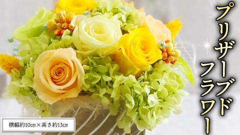 プリザーブドフラワーS プリザーブドフラワー インテリア [CT032ci]