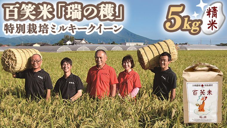 精米 百笑米 「 瑞の穫 」 特別栽培 ミルキークイーン 5kg R7年産 米 コメ 茨城県 単一米[AC001ci]