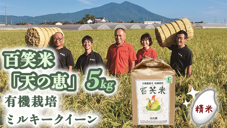 精米 百笑米 「 天の恵 」 有機栽培 ミルキークイーン 5kg R7年産 米 コメ 茨城県 単一米 [AC013ci]