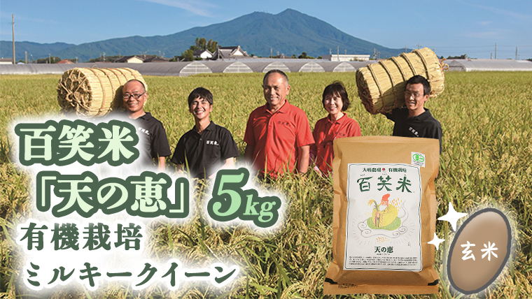 玄米 百笑米 「 天の恵 」 有機栽培 ミルキークイーン 5kg R7年産 米 コメ 茨城県 単一米 [AC018ci]