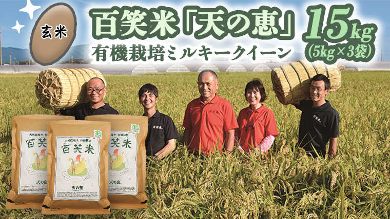 【 玄米 】 百笑米 「 天の恵 」 有機栽培 ミルキークイーン 15kg (5kg×3袋) R7年産 米 コメ 茨城県 単一米 [AC022ci]