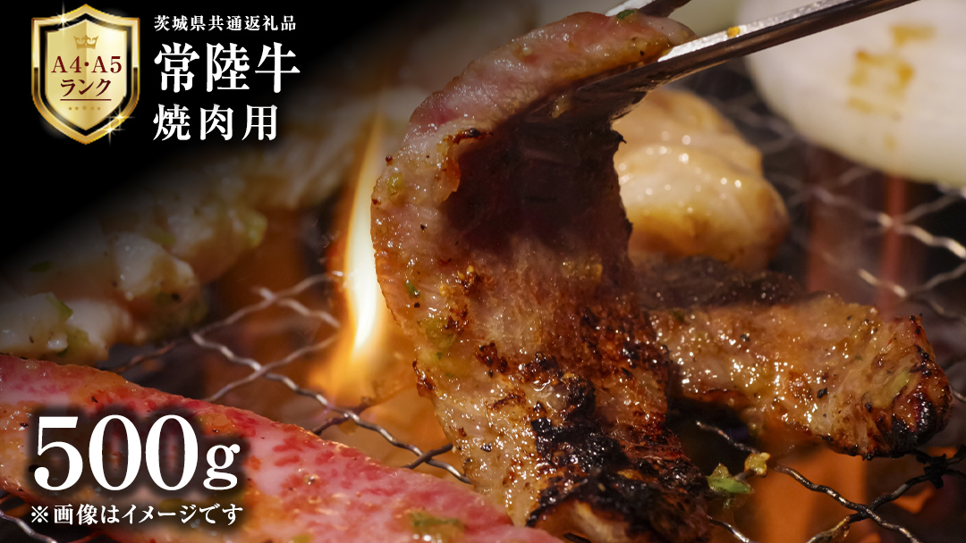 【 常陸牛 】 焼肉用 500g 茨城県共通返礼品 化粧箱入り A4 A5 ブランド牛 国産 牛肉 肉 お肉 黒毛和牛 和牛 ギフト 贈答 [AD009ci]