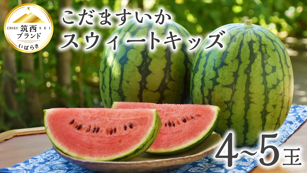 【 JA北つくば 】 こだますいか 「 スウィートキッズ 」 4～5玉 2026年産 スイカ 果物 フルーツ [AE006ci]