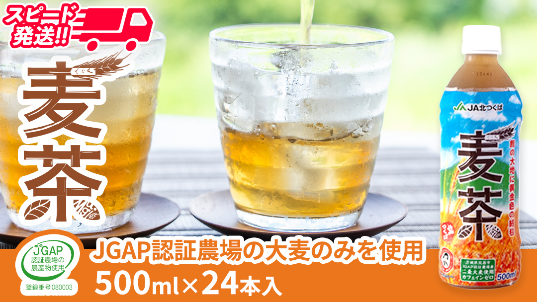 スピード発送!!【 JA 北つくば 】 JGAP認証 麦茶 1箱 ( 500ml × 24本 ) JGAP JA お茶 茶 ペットボトル 麦 大麦 二条大麦 ノンカフェイン カフェインゼロ スピード配送 [AE020ci]