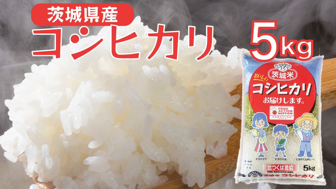 JA 北つくば 】 茨城県産 コシヒカリ 5kg 令和5年産 農協 米 お米 白米 ...