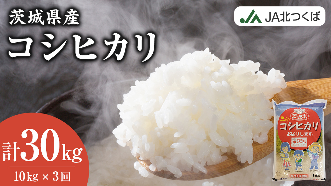 【 定期便 3ヶ月 】 JA北つくば 茨城県産 コシヒカリ 10kg 令和6年産 農協 JA 米 お米 白米 コメ こしひかり 茨城県 精米 新生活 応援 [AE044ci]
