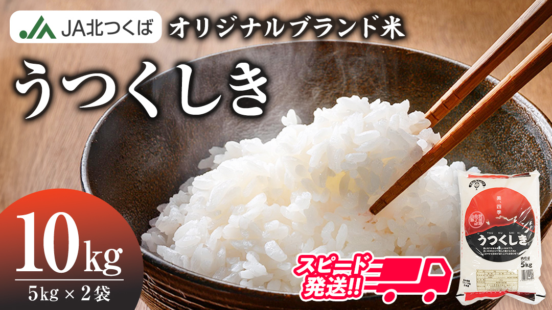 スピード発送!!【 JA 北つくば オリジナル ブランド米 】 うつくしき 10kg ( コシヒカリ ) ( 5kg × 2袋 ) 令和6年産 農協 JA 米 お米 白米 コメ こしひかり 茨城県 精米 新生活 応援 スピード配送 [AE045ci]