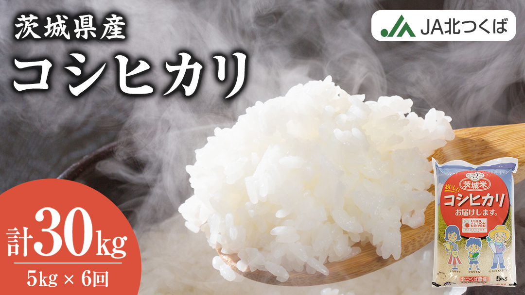 【 定期便 6ヶ月 】 JA北つくば 茨城県産 コシヒカリ 5kg 令和6年産 農協 JA 米 お米 白米 コメ こしひかり 茨城県 精米 新生活 応援 [AE048ci]