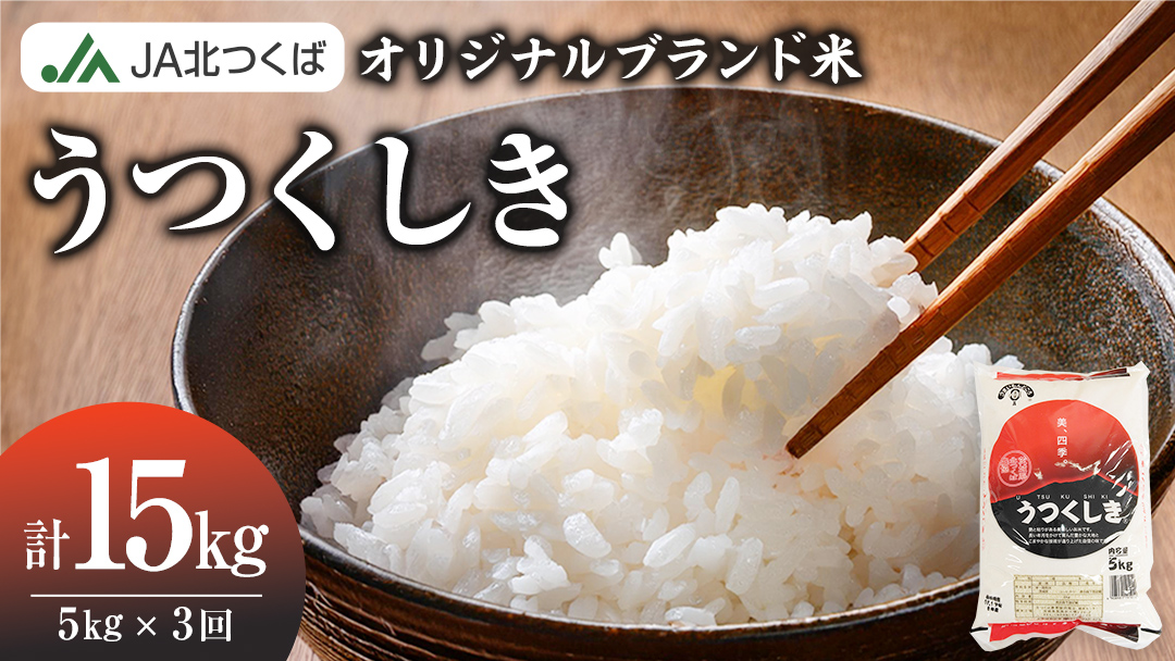 【 定期便 3ヶ月 】 JA北つくば オリジナル ブランド米 「 うつくしき 」 5kg ( コシヒカリ )  令和6年産 農協 JA 米 お米 白米 コメ こしひかり 茨城県 精米 新生活 応援 [AE050ci]