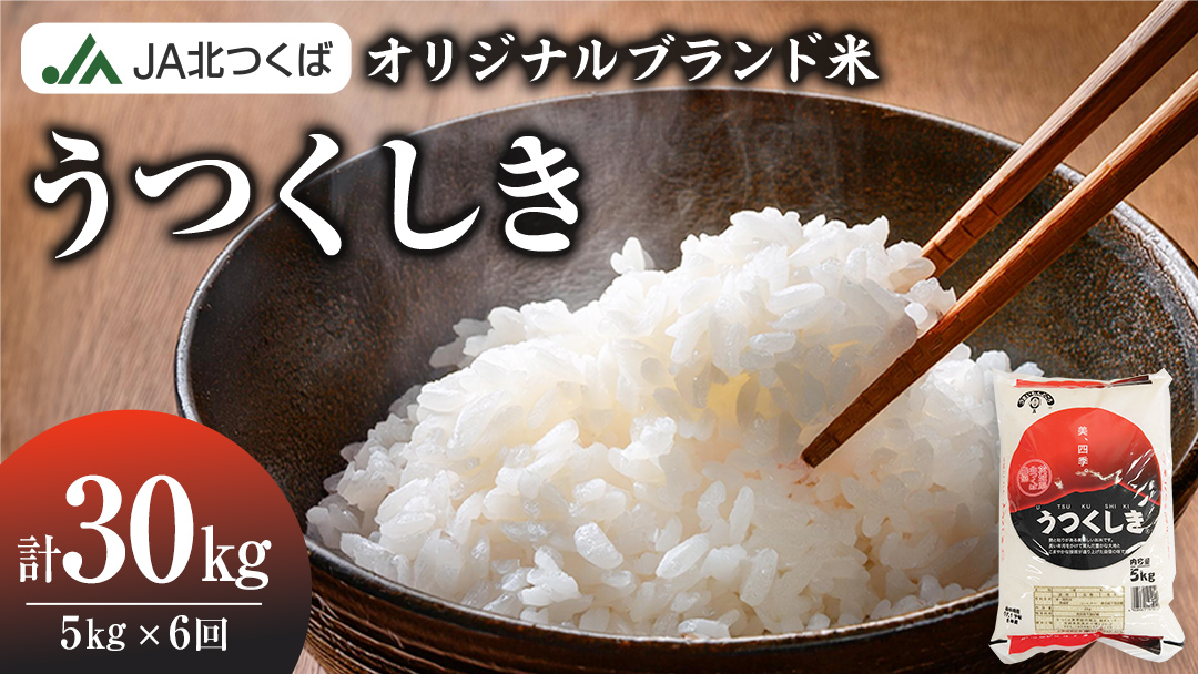 【 定期便 6ヶ月 】 JA北つくば オリジナル ブランド米 「 うつくしき 」 5kg ( コシヒカリ )  令和6年産 農協 JA 米 お米 白米 コメ こしひかり 茨城県 精米 新生活 応援 [AE051ci]