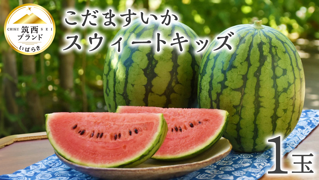 【 JA北つくば 】 こだますいか 「 スウィートキッズ 」 1玉 2026年産 小玉すいか 小玉 すいか スイカ 果物 フルーツ ピノガール 西瓜 くだもの デザート 茨城 [AE057ci]