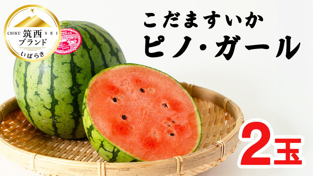 こだますいか 「 ピノ・ガール 」 2玉 2026年産 先行予約 筑西ブランド こだまスイカ 小玉スイカ すいか スイカ フルーツ 果物 [AF005ci]