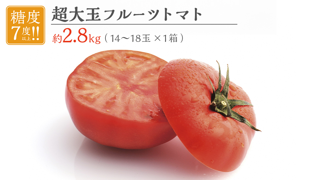 超大玉 フルーツトマト 大箱 約2.8kg × 1箱 【14～18玉/1箱】 2026年産 糖度7度 以上 野菜 フルーツ トマト とまと [AF008ci]