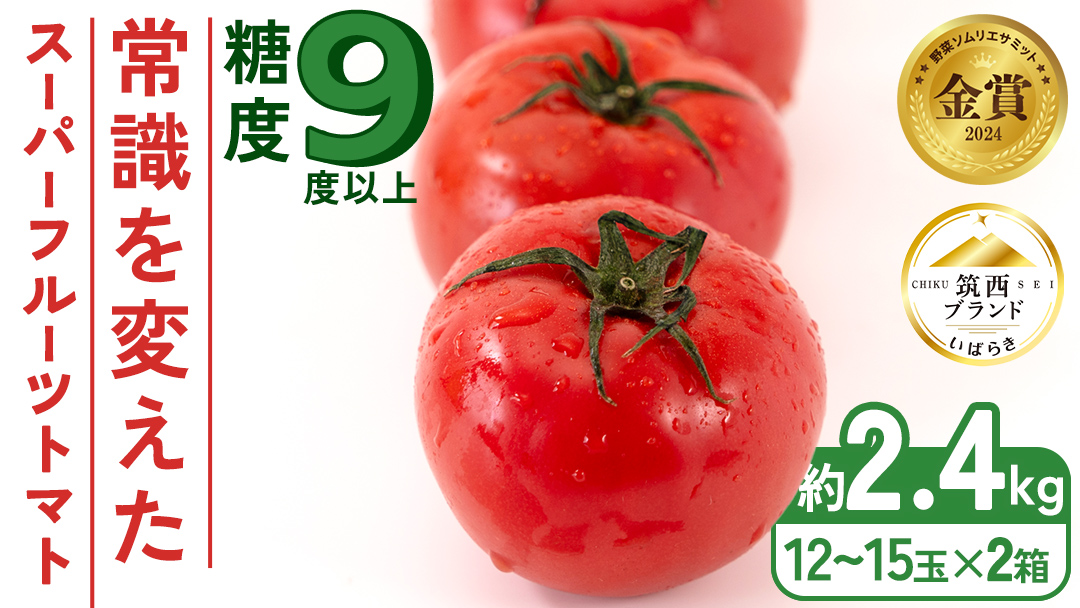 スーパーフルーツトマト 中箱 約1.2kg × 2箱 【大玉 12～15玉/1箱】 2026年産 糖度9度 以上 トマト とまと フルーツトマト フルーツ 野菜 やさい 高糖度 [AF036ci]