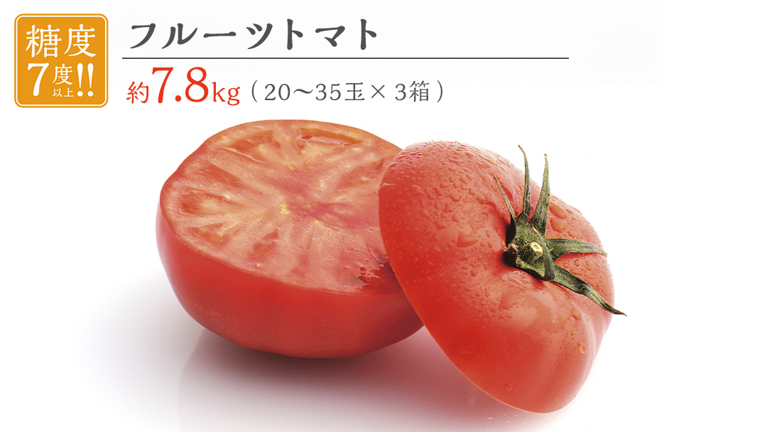 フルーツトマト 大箱 約2.6kg × 3箱 【大玉 20～35玉/1箱】 2026年産 糖度7度 以上 野菜 フルーツ トマト とまと [AF074ci]