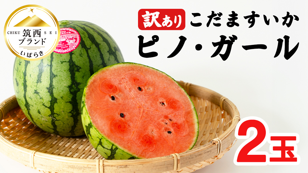 【 訳あり 】 こだますいか 「 ピノ・ガール 」 2玉 2026年産 先行予約 筑西ブランド こだまスイカ 小玉スイカ すいか スイカ フルーツ 果物 [AF081ci]