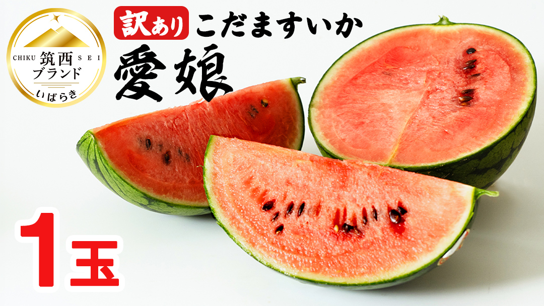 【 訳あり 】 こだますいか 「 愛娘 」 1玉 2026年産 先行予約 筑西ブランド こだまスイカ 小玉スイカ すいか スイカ フルーツ 果物 [AF083ci]